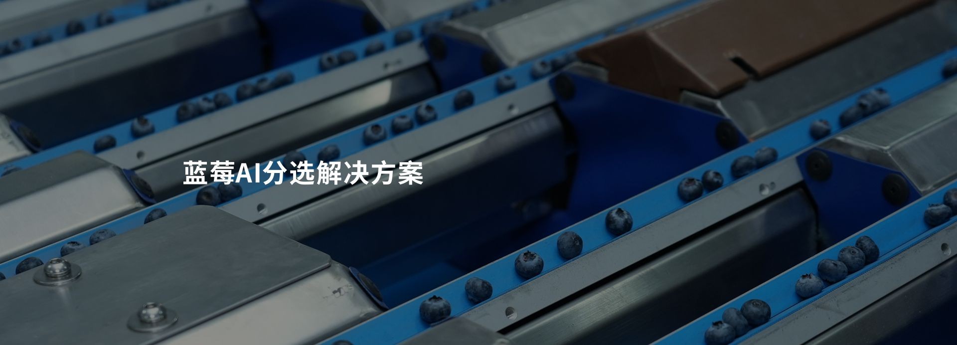 讓您的水果表里如一